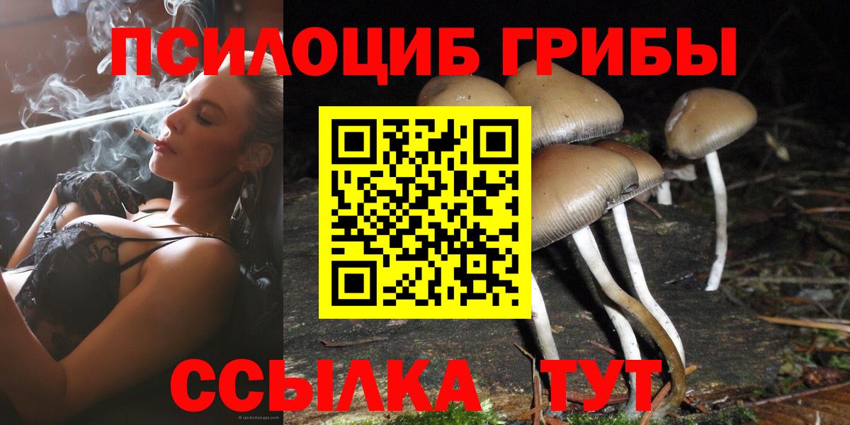 Псилоцибиновые грибы Psilocybine cubensis Лиски