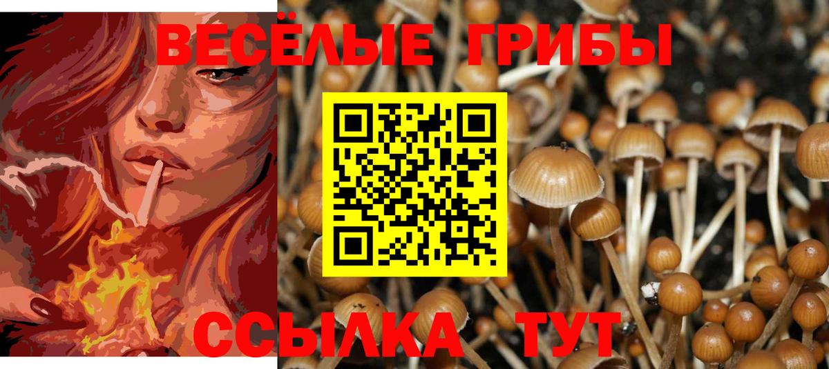 Лиски  где найти наркотики  Псилоцибиновые грибы ЛСД  Вход с VPN  Галлюциногенные грибы прущие грибы 